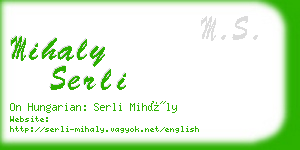 mihaly serli business card